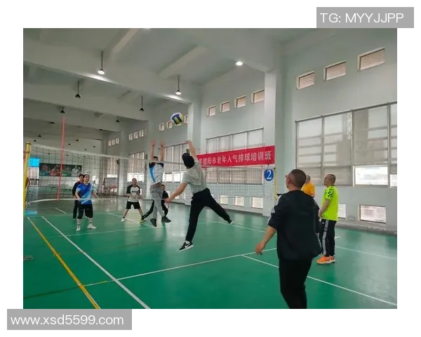 深圳排球队的速度之美与战术解析探秘排球运动的魅力与激情