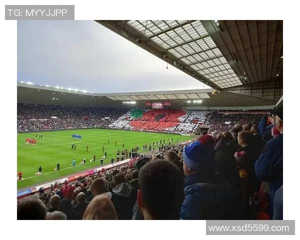 足球明星飞腿背后的传奇故事与他在绿茵场上的辉煌成就解析