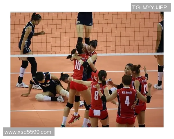 对话杨磊：谈排球生涯