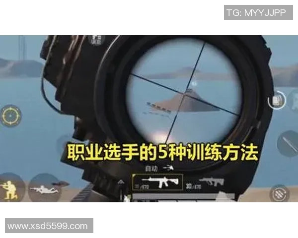 科学和平精英：配合训练方法